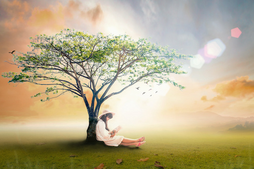 Read a book day concept: Asian girl reading fantastic book under big tree in autumn sunset background